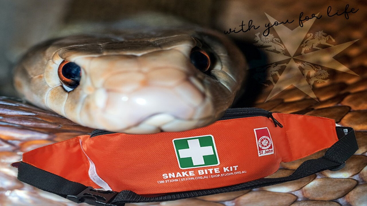 snake and snake bite kit